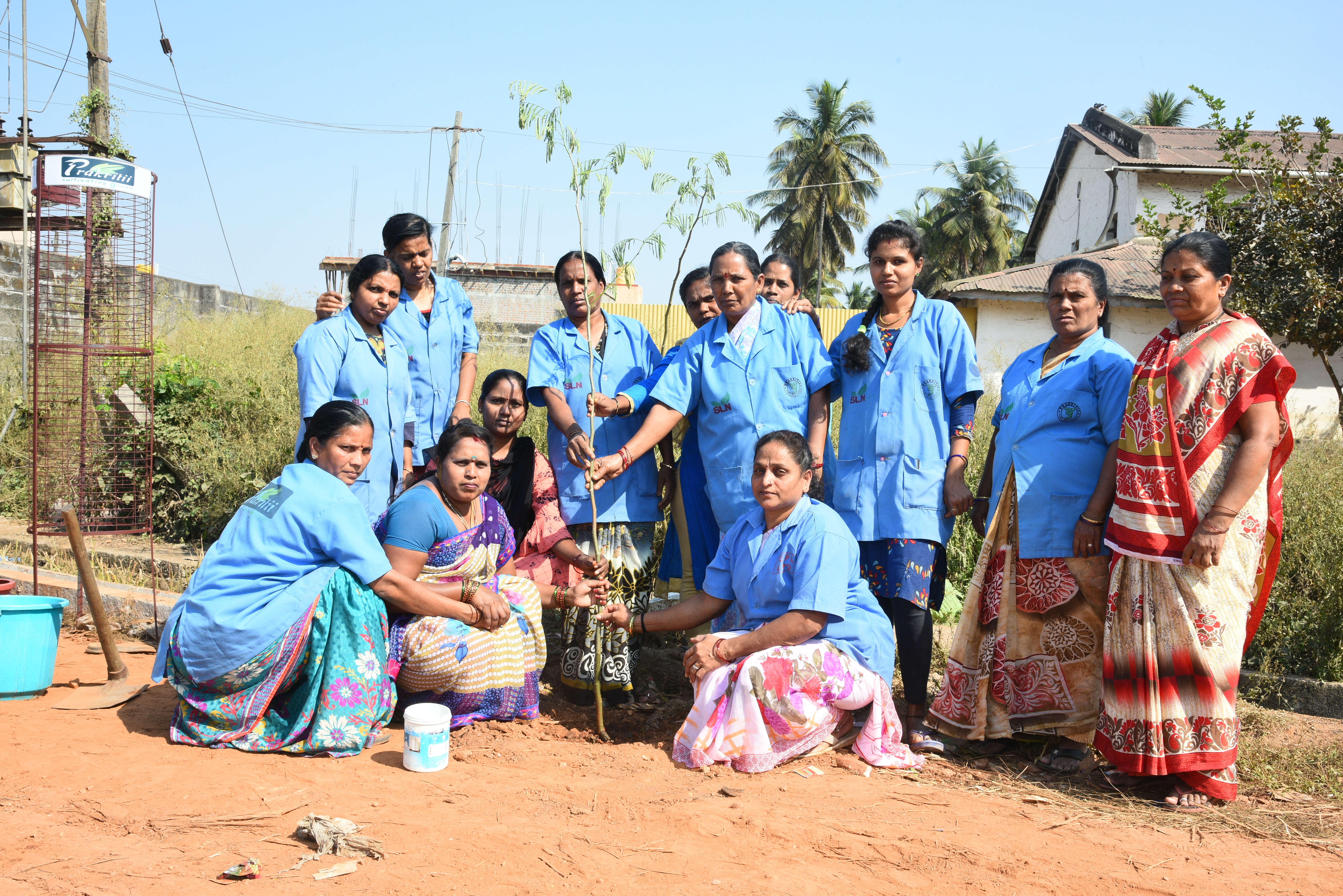 Community members joining plantation drive